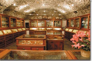 wood shop, Olive Wood, ANRI, Legno, shops in Bellagio